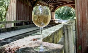 bicchiere chardonnay