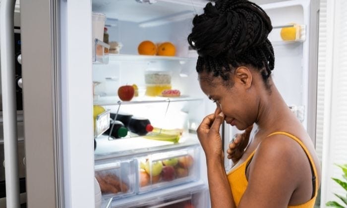 Como remover o mau cheiro da geladeira