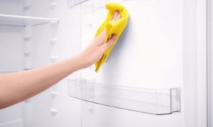 limpeza em profundidade no frigorífico