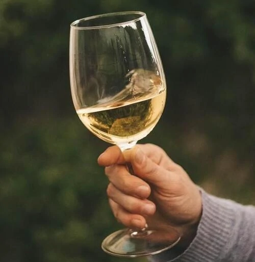 copa de vino blanco seco