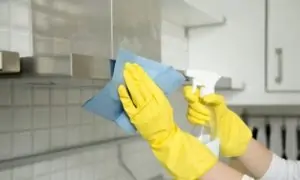 como limpiar la campana extractora