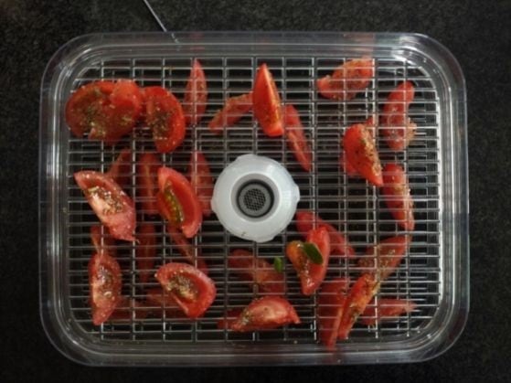 tomates en deshidratadora de alimentos