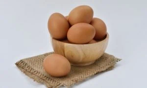 huevos de gallina