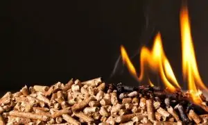 pellets